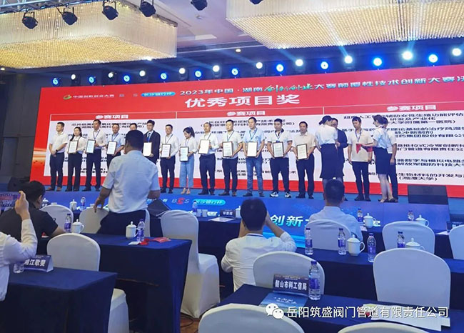 熱烈慶賀我公司榮獲省顛覆性技術(shù)創(chuàng)新大賽“優(yōu)秀項目獎”！